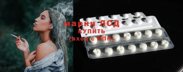 индика Алексин