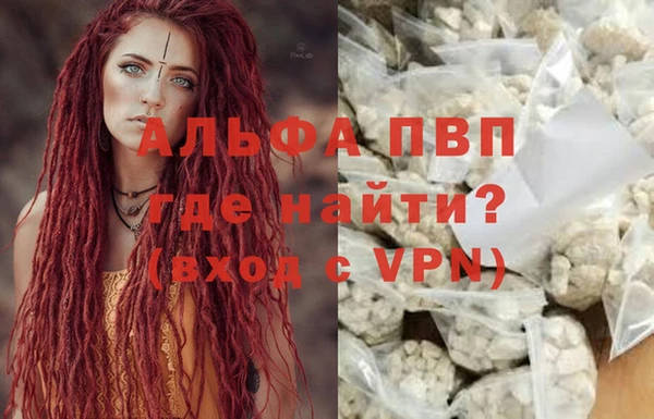 индика Алексин