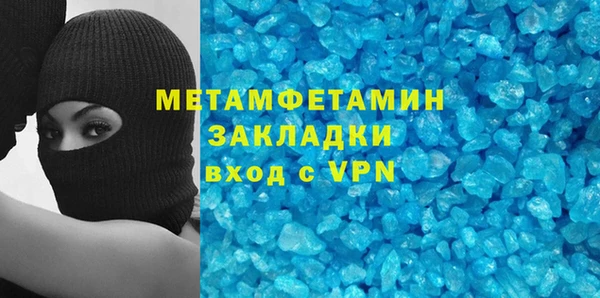 индика Алексин