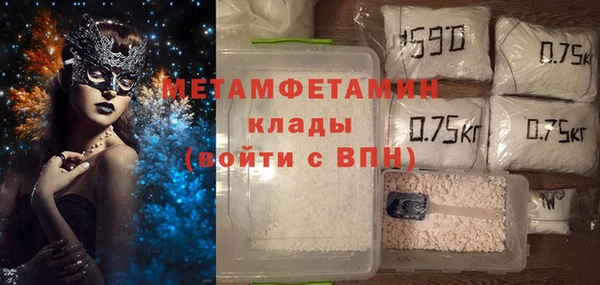 индика Алексин