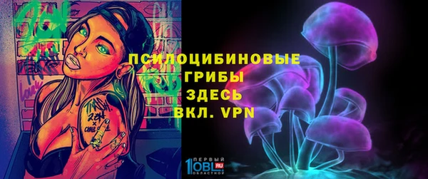 прущий лед Алзамай