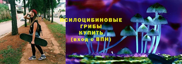 индика Алексин