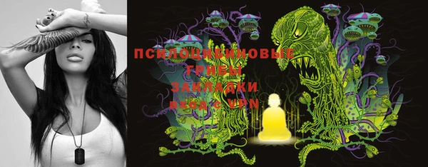 индика Алексин