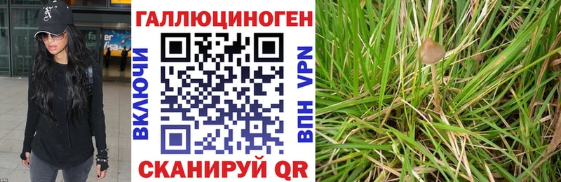 Галлюциногенные грибы GOLDEN TEACHER  хочу   Петушки 